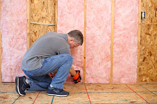 Best Eco-Friendly Insulation in Merrillville, IN